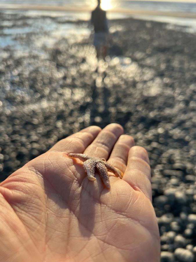 Les Petites Canailles Rooftop Cayeux-sur-Mer Esterno foto
